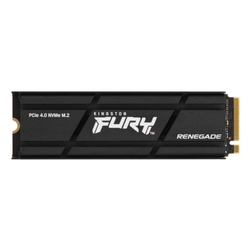 1000G RENEGADE PCIE 4.0 NVME SSD