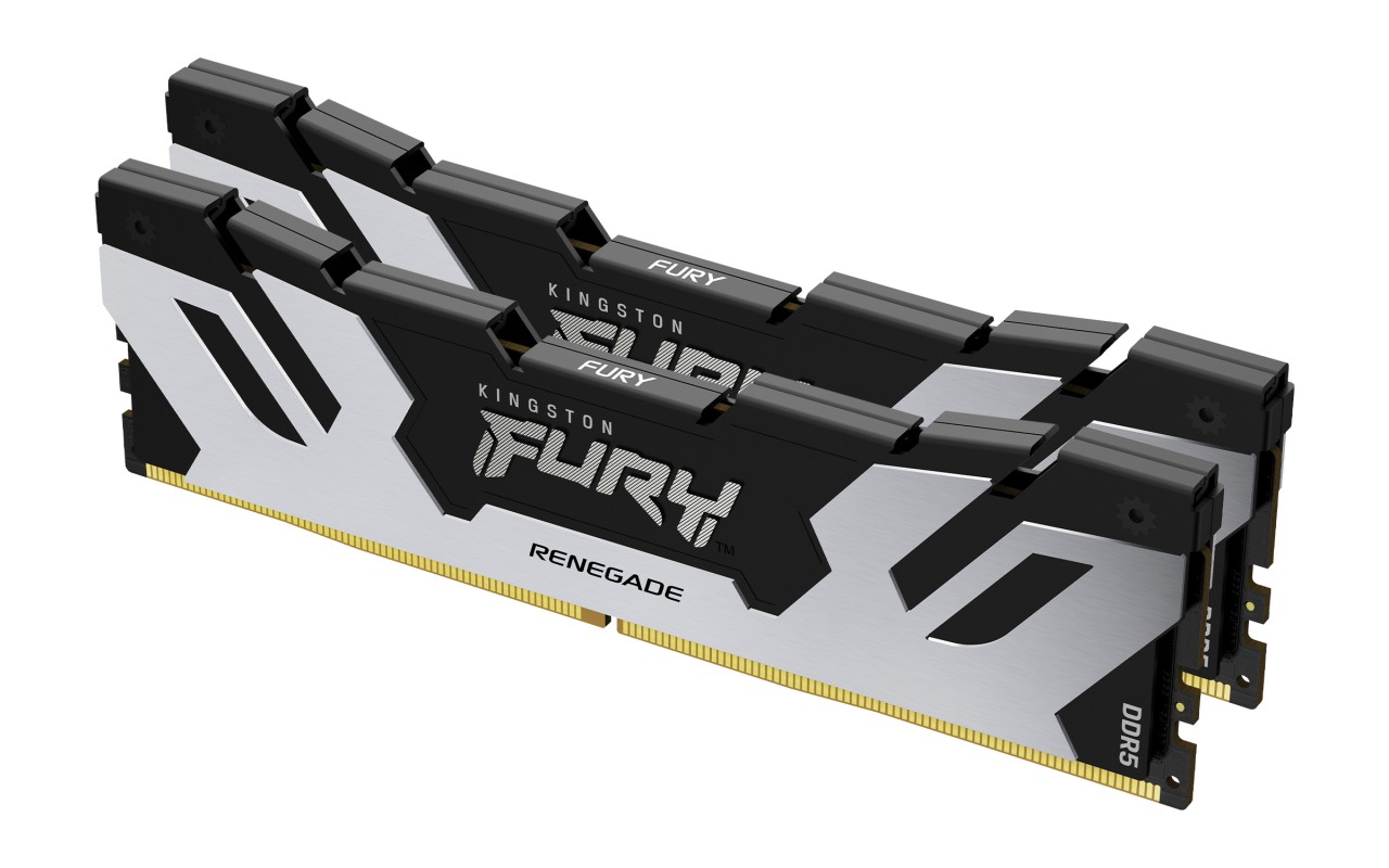 Kingston Technology FURY 32GB 6400 MT/s DDR5 CL32 DIMM (Kits de 2) Renegade Silver
