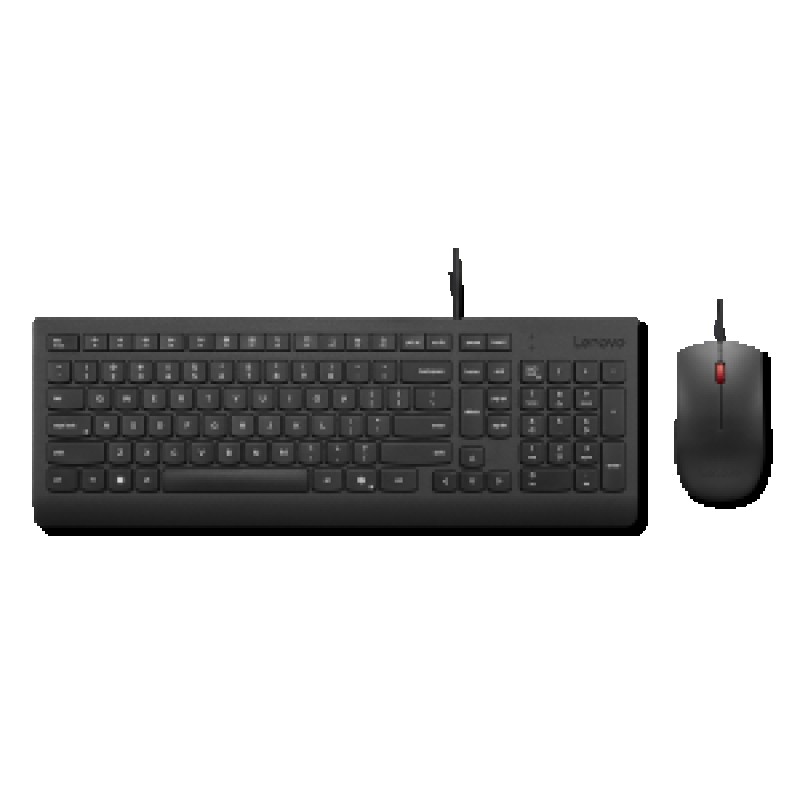Lenovo Essential Wired Combo (ES 172) teclado Ratón incluido Universal USB Español Negro