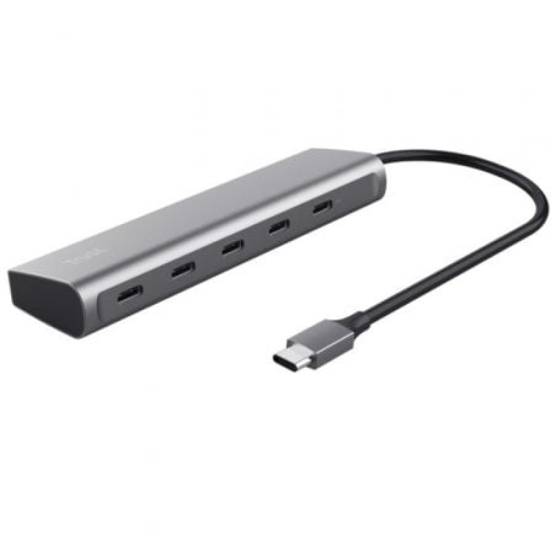 Trust Halyx USB 3.2 Gen 1 (3.1 Gen 1) Type-C Plata